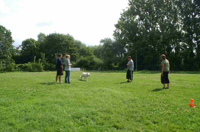 obeissance 2014-08-02